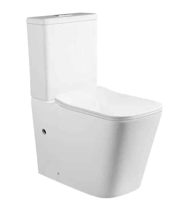 RIMLESS SQUARE TOILET