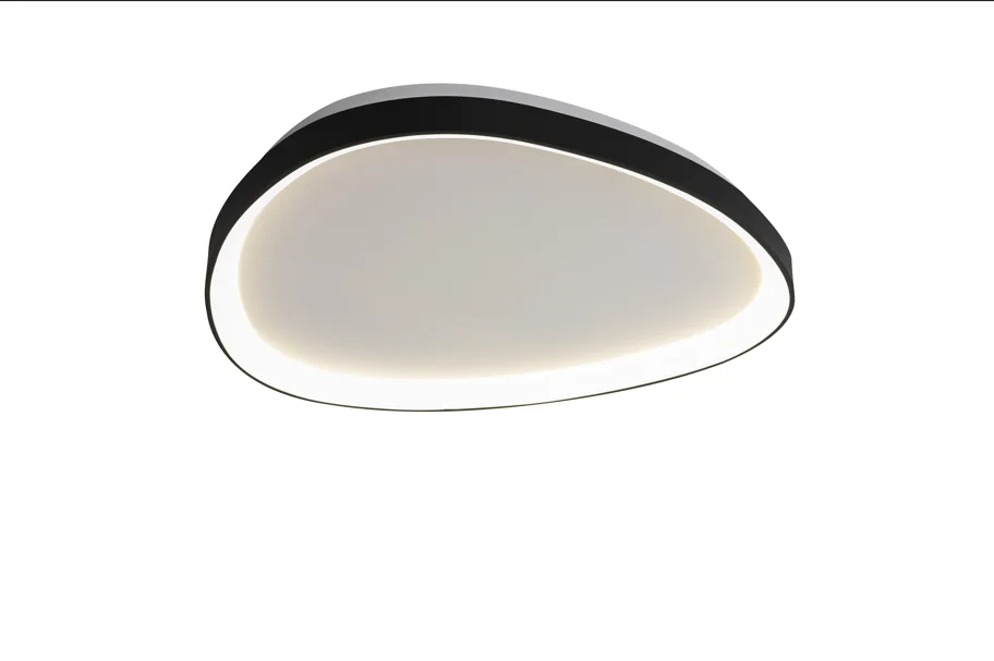 The Eclipse Architectural Flush-Mount Ceiling Disc   C0021-D60 BK
